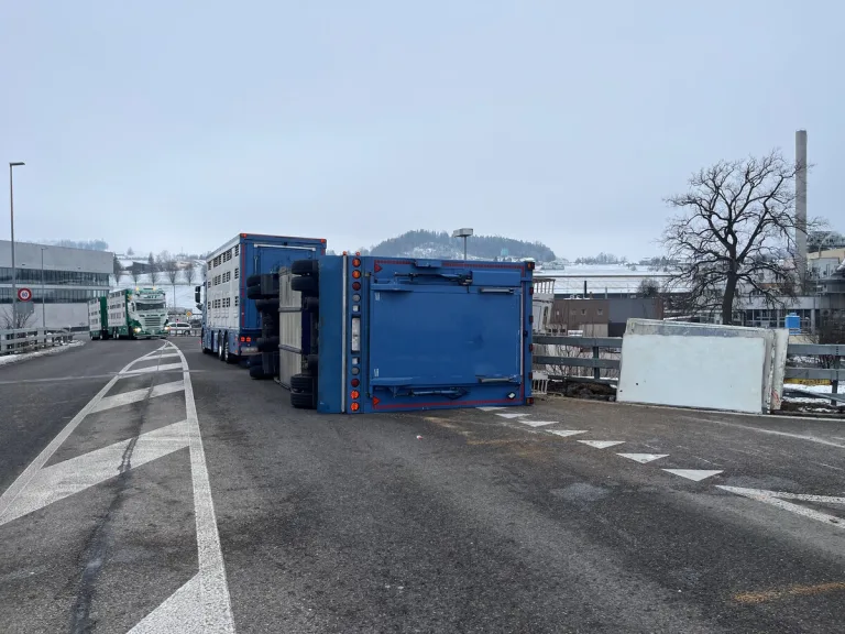 Unfall in Bazenheid SG: Anhänger mit 100 Schweinen umgekippt