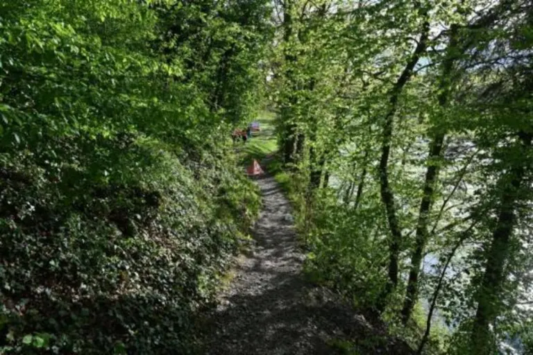 Ellikon am Rhein ZH - Mountainbiker bei Sturz im Wasser gelandet