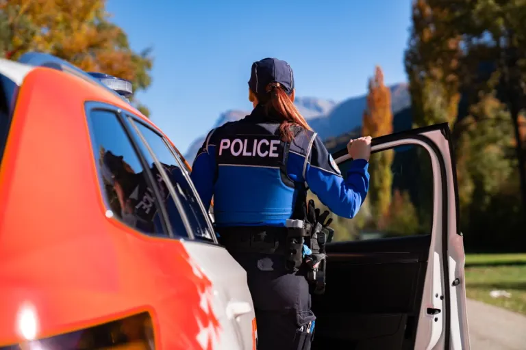 Oberwallis -  Mehrere Straftaten konnten durch die Polizei aufgeklärt werden