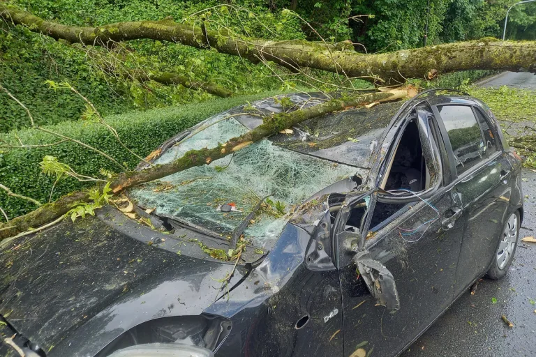 Herdecke – Baum stürzt auf Pkw und verletzt zwei Menschen