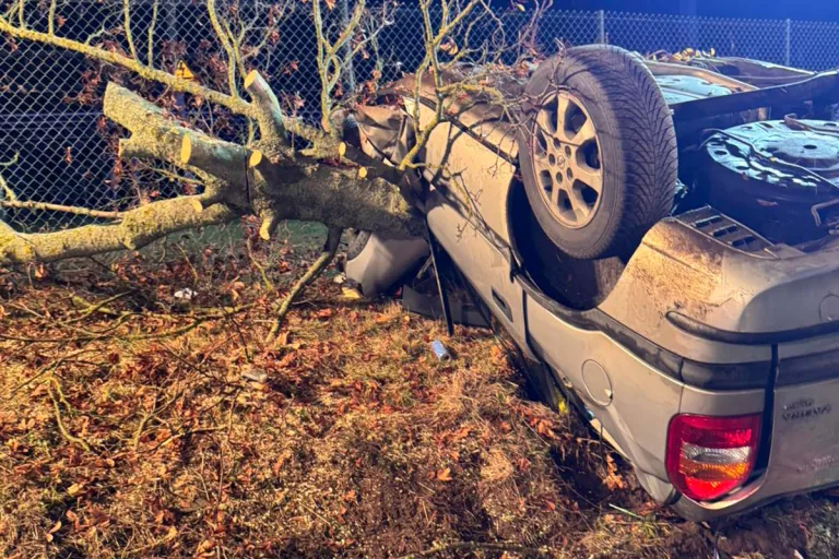 Bad Düben SN – 22‑Jähriger stirbt nach schwerem Unfall