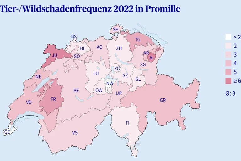 Erhöhtes Risiko für Wildunfälle