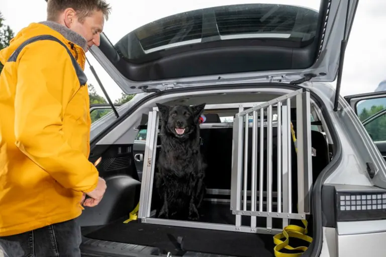 Hundeboxen im Vergleich – Sicherheitsmängel bei günstigen Modellen