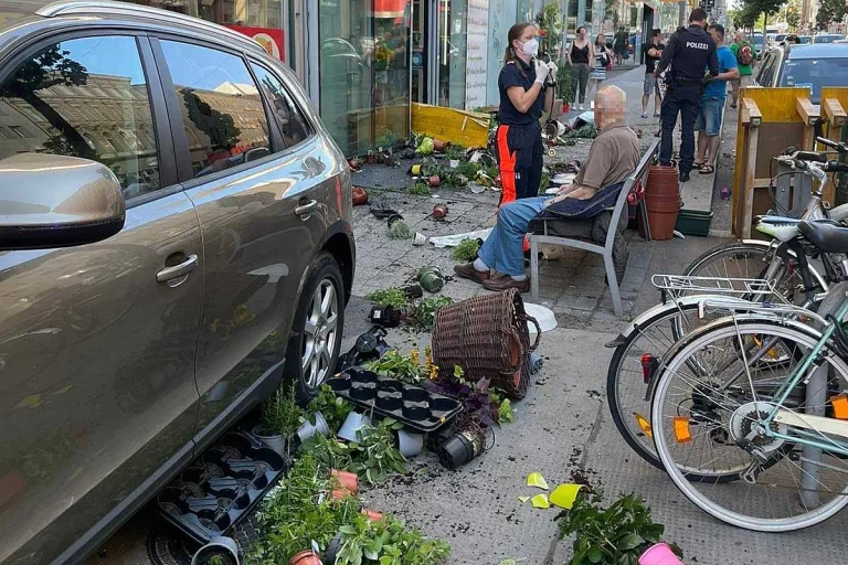 Wien - 92-jähriger Autofahrer geriet auf den Gehsteig und erfasst junge Fußgängerin