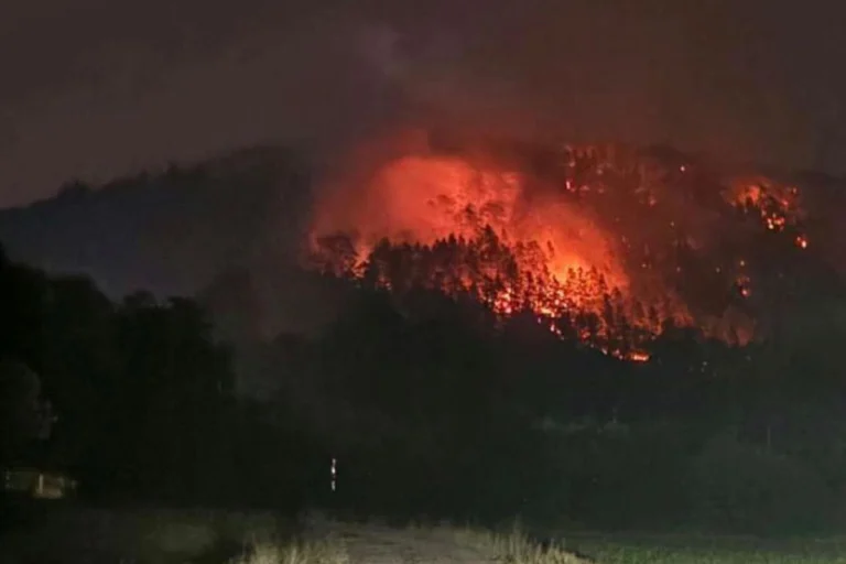 Amberg-Sulzbach – Waldbrand auf 5,7 Hektar in Freudenberg