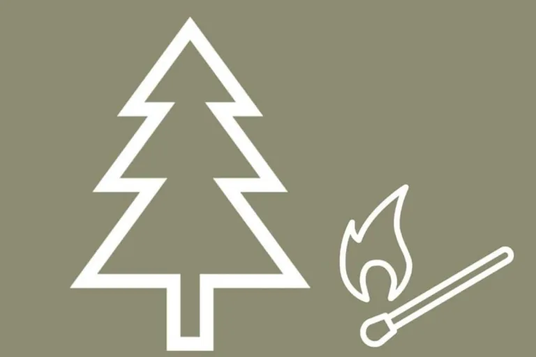 Steigende Waldbrandgefahr im Kanton Glarus