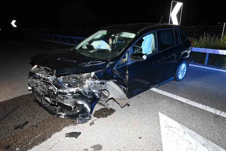 Mels SG - Unfall auf der A13 - Fuchs ausgewichen