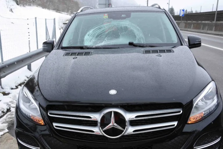 Wattwil SG - Während der Fahrt Schnee verloren – Frontscheibe zerstört!
