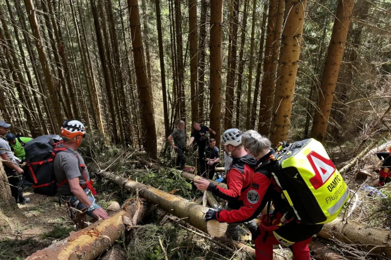 St. Barbara im Mürztal – Schwerer Unfall bei Forstarbeiten