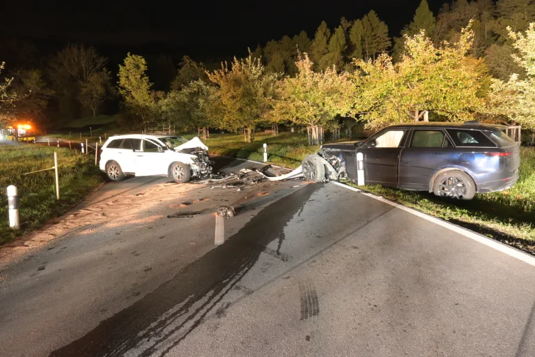 Triesen FL – Alkoholisierter Fahrer verursacht Unfall