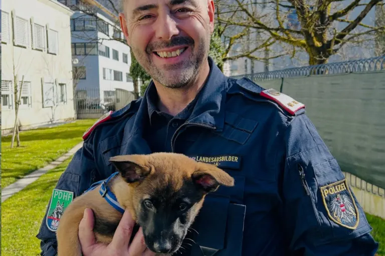 Vorarlberg – Zerox startet Ausbildung zum Polizeihund