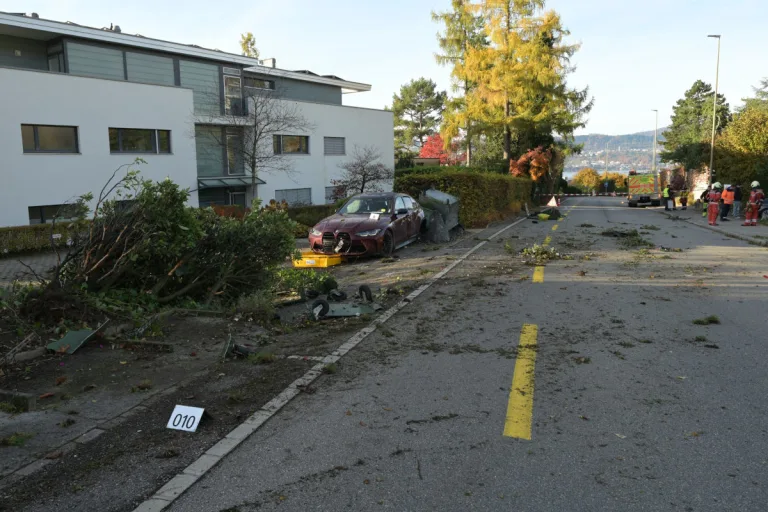 Meilen ZH – Junge Raser nach Unfall festgenommen