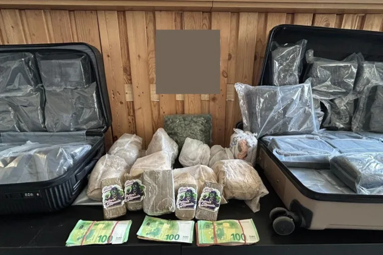 Wien und Wiener Neustadt – Zwei Drogendealer festgenommen