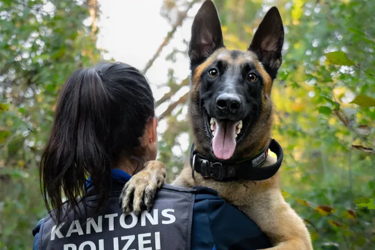 Aarau – Polizeihund Malouk stellt jugendliche Einbrecher