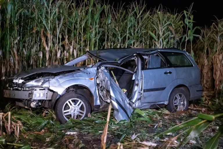 Hasenmoor – Tödlicher Verkehrsunfall auf der Bundesstraße 206