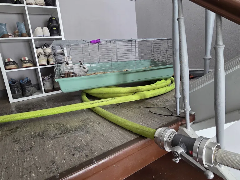 Datteln – Zwei Kaninchen bei Brand aus Wohnung gerettet
