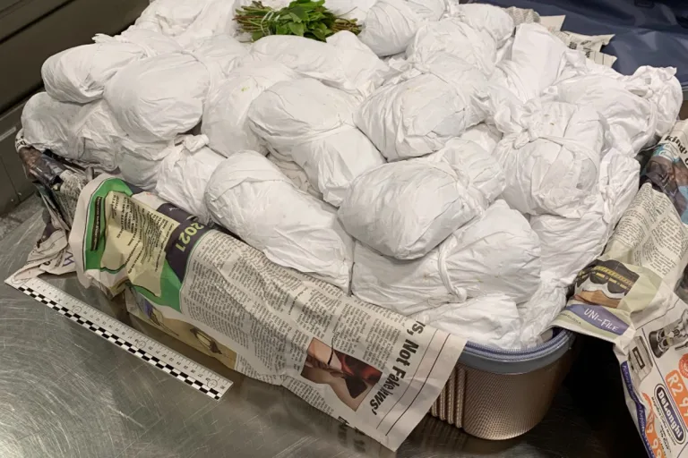 Zürich-Flughafen - Kiloweise Khat im Koffer
