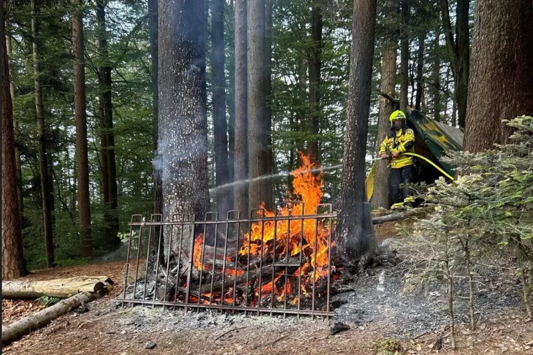 Walzenhausen AR - Brandausbruch in einem Wald 
