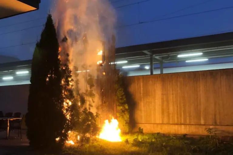 Brunnen SZ – Brand einer Thujahecke