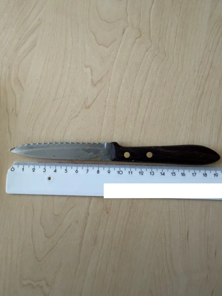 Wien – 88-Jähriger bedroht Polizisten mit Küchenmesser