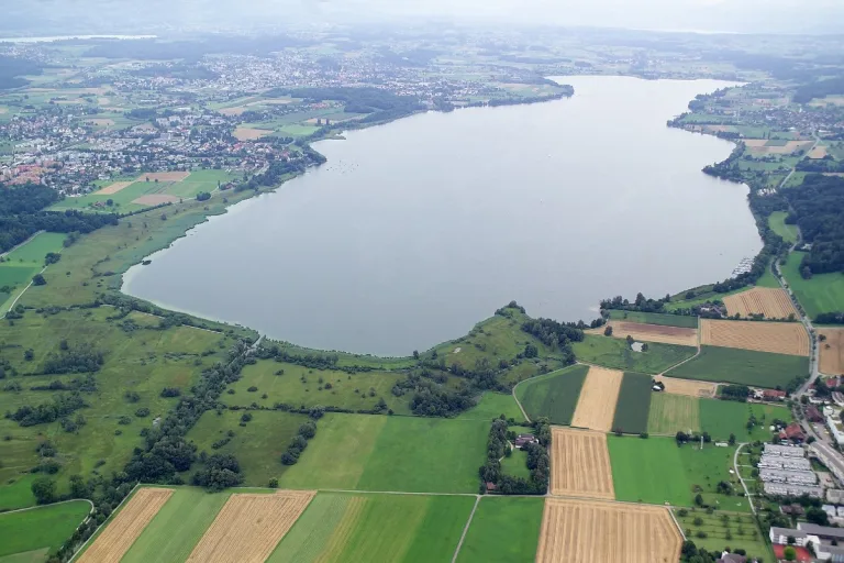 Greifensee und Pfäffikersee ZH – Fischereikontrollen durchgeführt