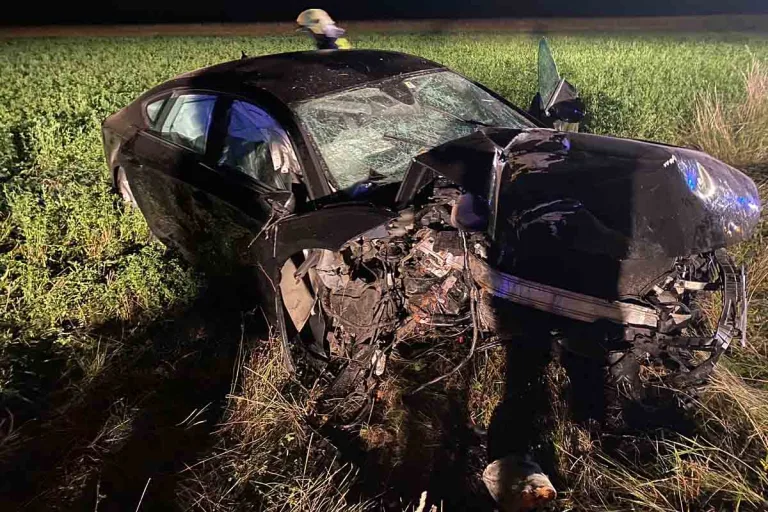 Pischelsdorf - Audi kracht gegen Baum