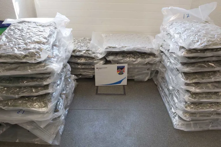 Aachen - Polizei beschlagnahmt 34 Kilogramm Marihuana - Schmuggler in Haft