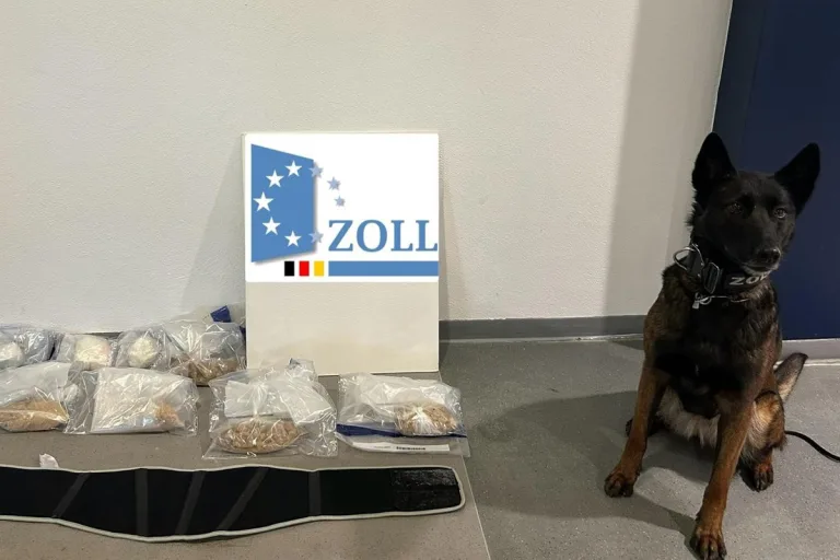 München BY – Zoll stellt Drogen bei Reisendem im Bus sicher