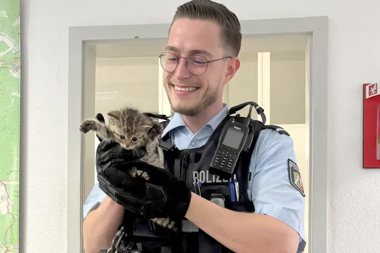 Balve – Ausgesetzte Katzenbabys gefunden