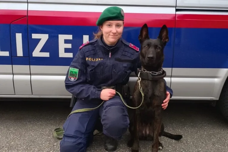 Klagenfurt - Polizeihündin „Oana“ hilft einen durch Stichwunden verletzten Mann zu finden 