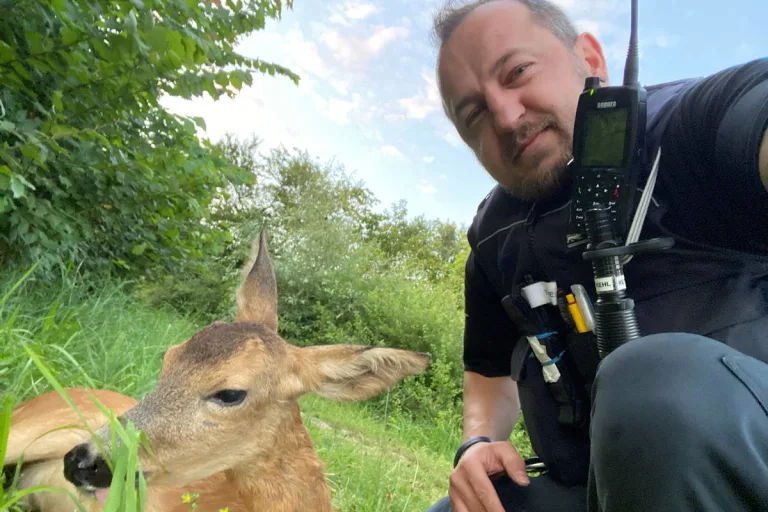 Rheinau-Memprechtshofen – Reh gleich zweimal gerettet