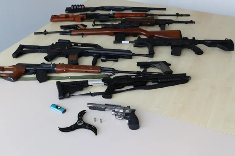 Sondershausen - Mehrere Schusswaffen sichergestellt