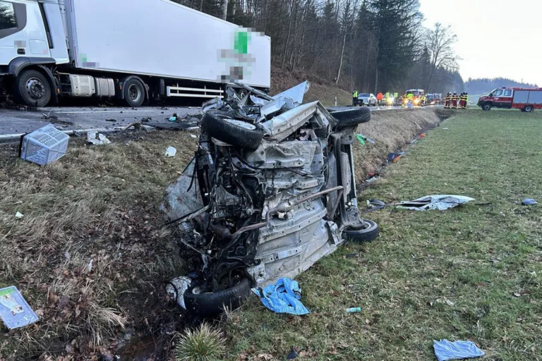 Rottenschwil AG - Zwei Tote bei Frontalkollision mit einem Lastwagen