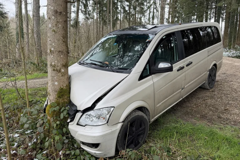 Beromünster LU – Autofahrerin prallt im Wald gegen Baum