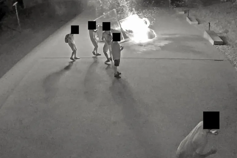 Öffentlichkeitsfahndung wegen zerstörtem Brunnen aus Winterthur ZH – Die Täterbilder!