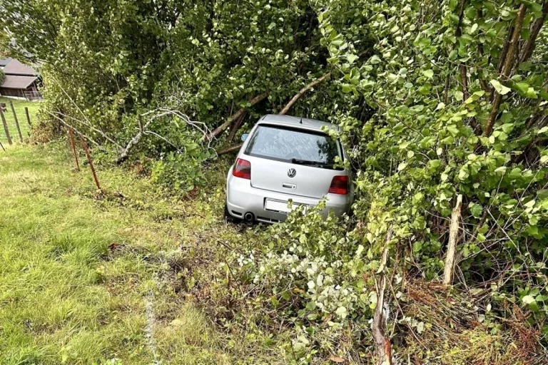 Unfall in Lutzenberg  AR - Mit einem Holzpfahl kollidiert 