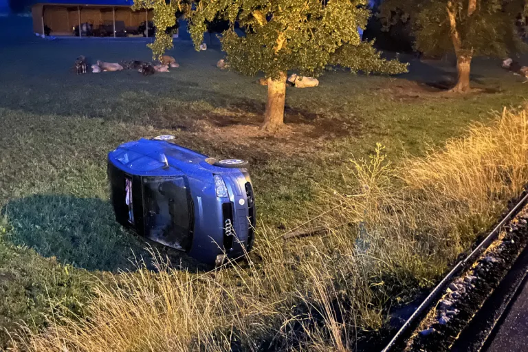 Unfall in Buchs LU - Unter Drogeneinfluss am Steuer eingeschlafen