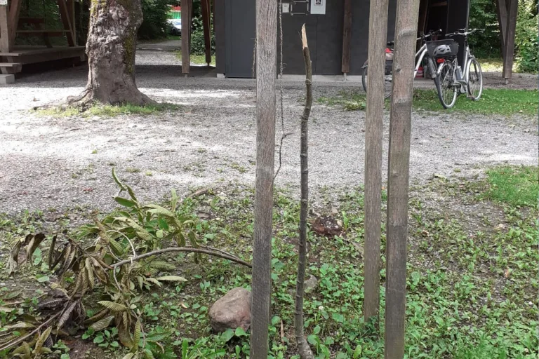 Kaltbrunn SG – Mehrere Sachbeschädigungen beim Waldlehrpfad