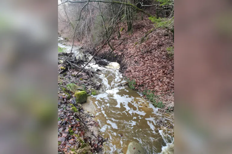 Gülle-Unfall in St. Ursen: Gewässer verunreinigt