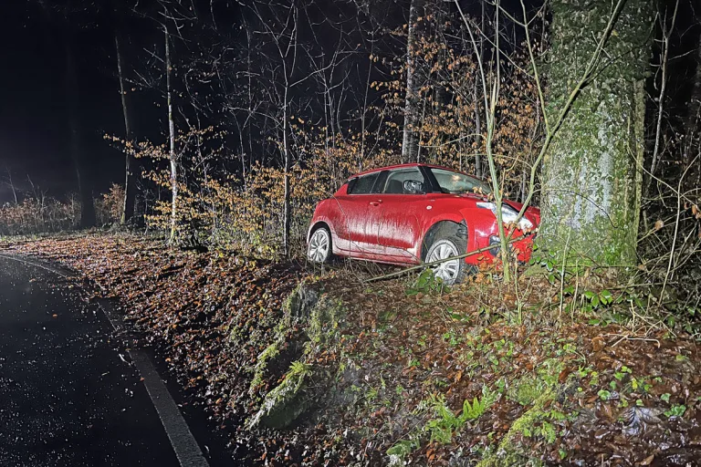 Kanton Luzern – Kollision mit einem Baum - Rennradfahrer verletzt - Verkehrsbehinderungen nach Auffahrkollisionen 