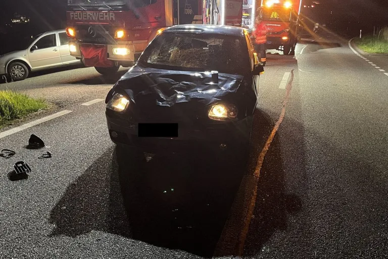 Diegten BL - Rind verstirbt nach Kollision mit einem Auto