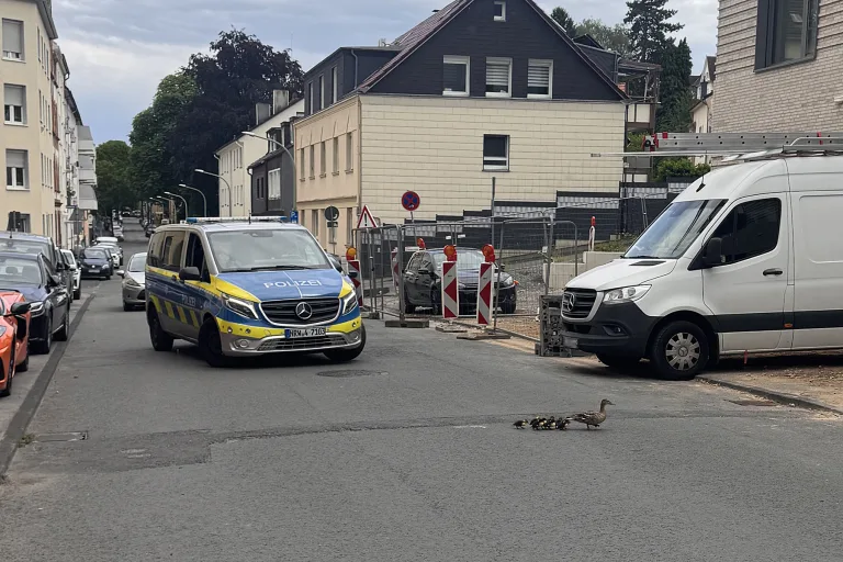 Hagen – Polizei rettet Entenfamilie von gefährlicher Straße