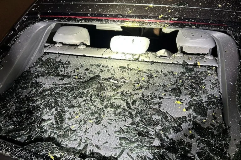 Bruck an der Leitha NÖ – Unbekannte Täter werfen Kürbisse auf Autos
