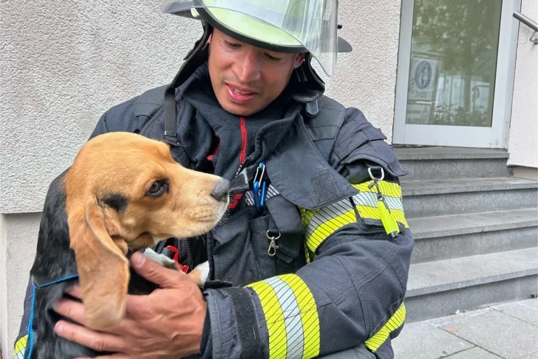 Mainz - Hund kann aus verrauchter Wohnung gerettet werden