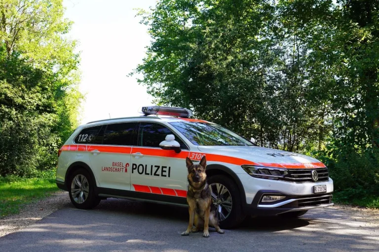 Oberwil BL - Drei mutmassliche Einbrecher festgenommen