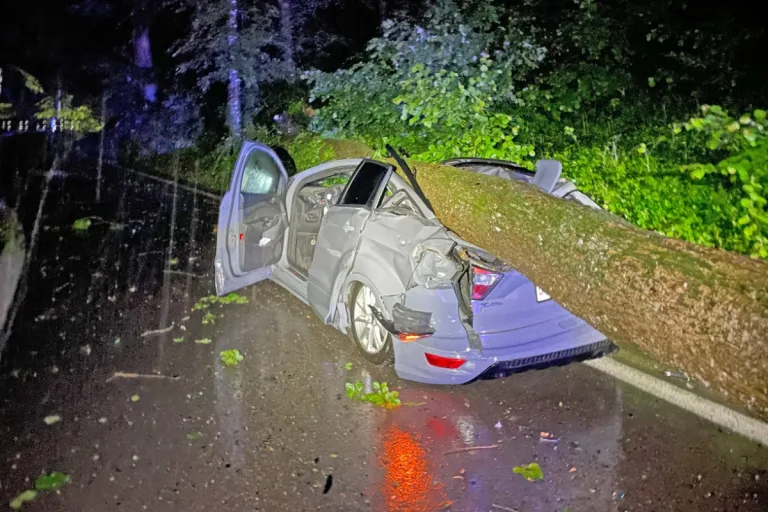 Horrorunfall in Frauenfeld TG - Baum stürzt beim Unwetter auf ein fahrendes Auto!