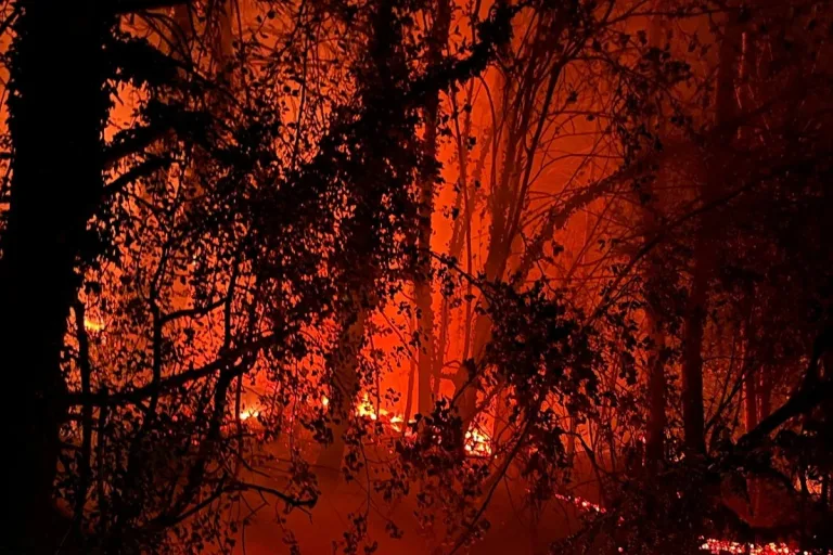 Flanthey VS - Wald in Brand geraten