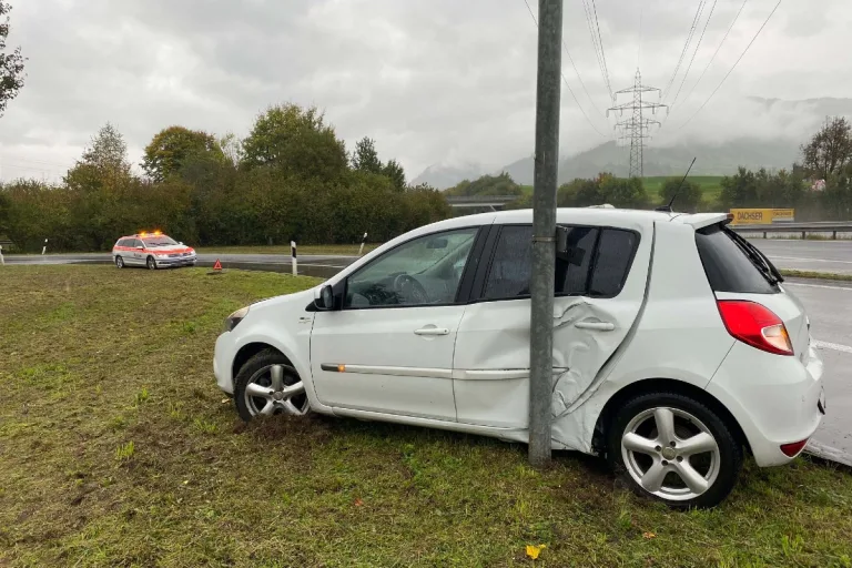 Küssnacht SZ -  Blechschaden nach Selbstunfall