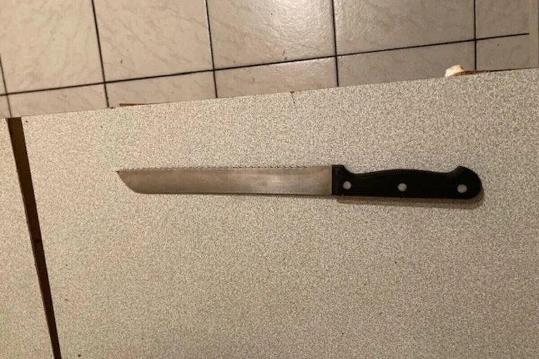 Wien - 29-Jähriger verletzt seine Mutter mit einem Messer