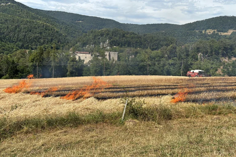 Soyhières JU – Brand zerstört 5'000 Quadratmeter Stoppelfeld